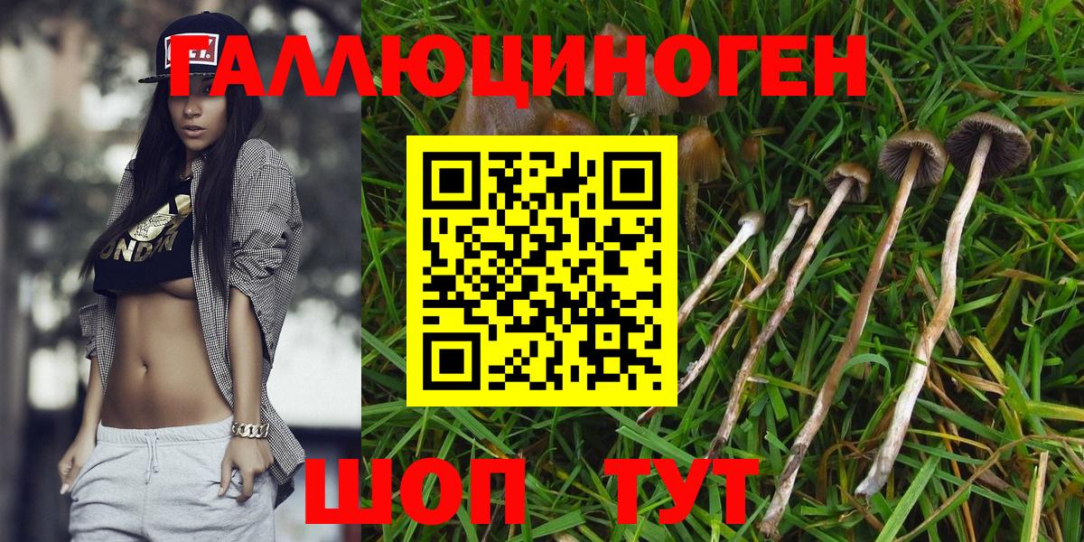 Усть-Илимск  Галлюциногенные грибы Magic Shrooms  Вход с VPN 