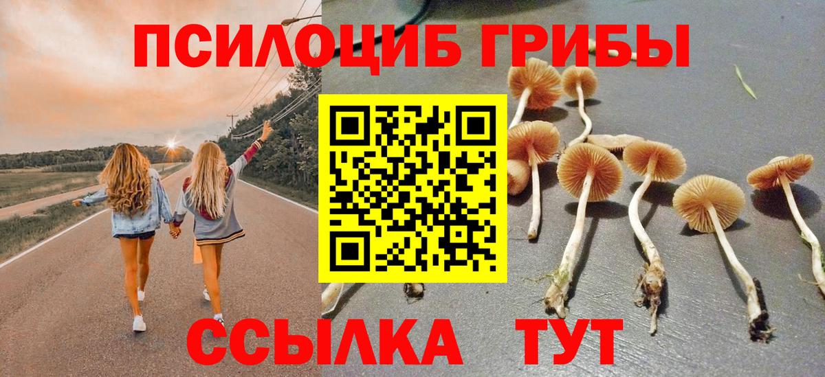 Галлюциногенные грибы прущие грибы Усть-Илимск
